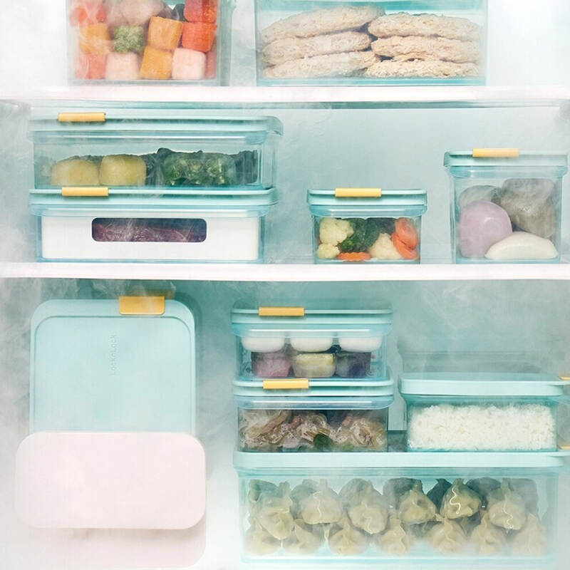 Hộp Trữ Đông Freezer Fit LocknLock 1.65L - Kèm Khuôn Chia Nhỏ Thực Phẩm 18 Ngăn - HFL104D18, , large image number null